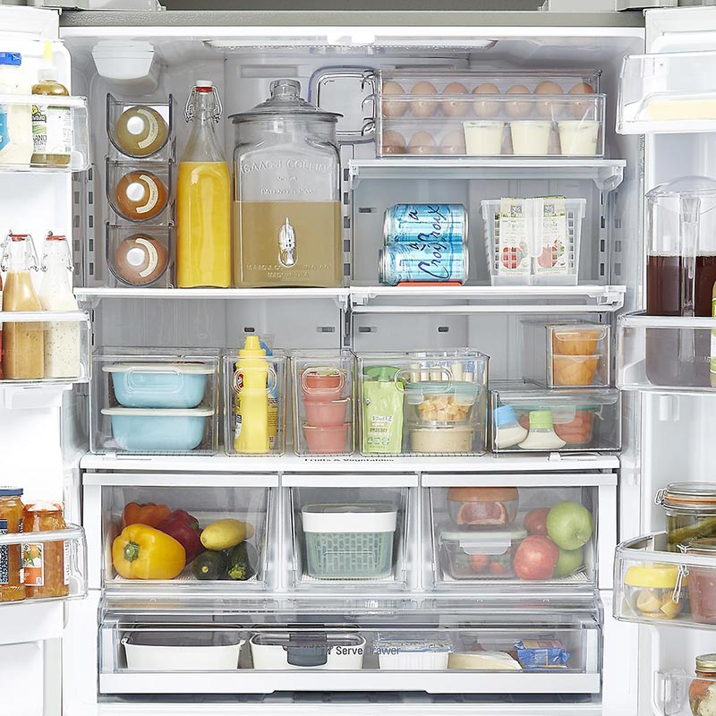 microrganismi effettivi per pulire il frigorifero
